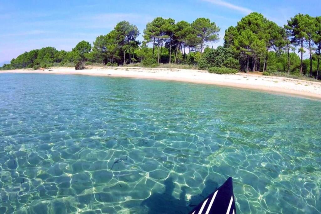 MARINE DE Bravone pieds dans l'eau Appartement Linguizzetta Buitenkant foto