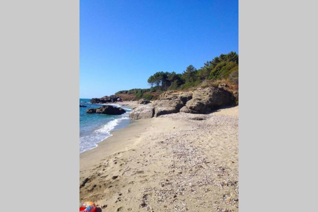 MARINE DE Bravone pieds dans l'eau Appartement Linguizzetta Buitenkant foto