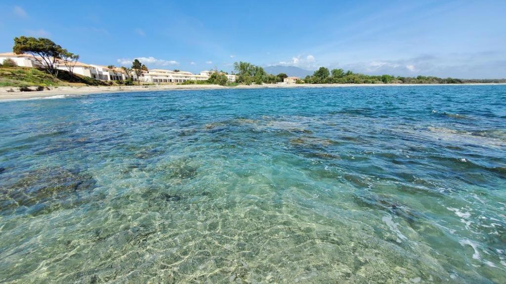MARINE DE Bravone pieds dans l'eau Appartement Linguizzetta Buitenkant foto